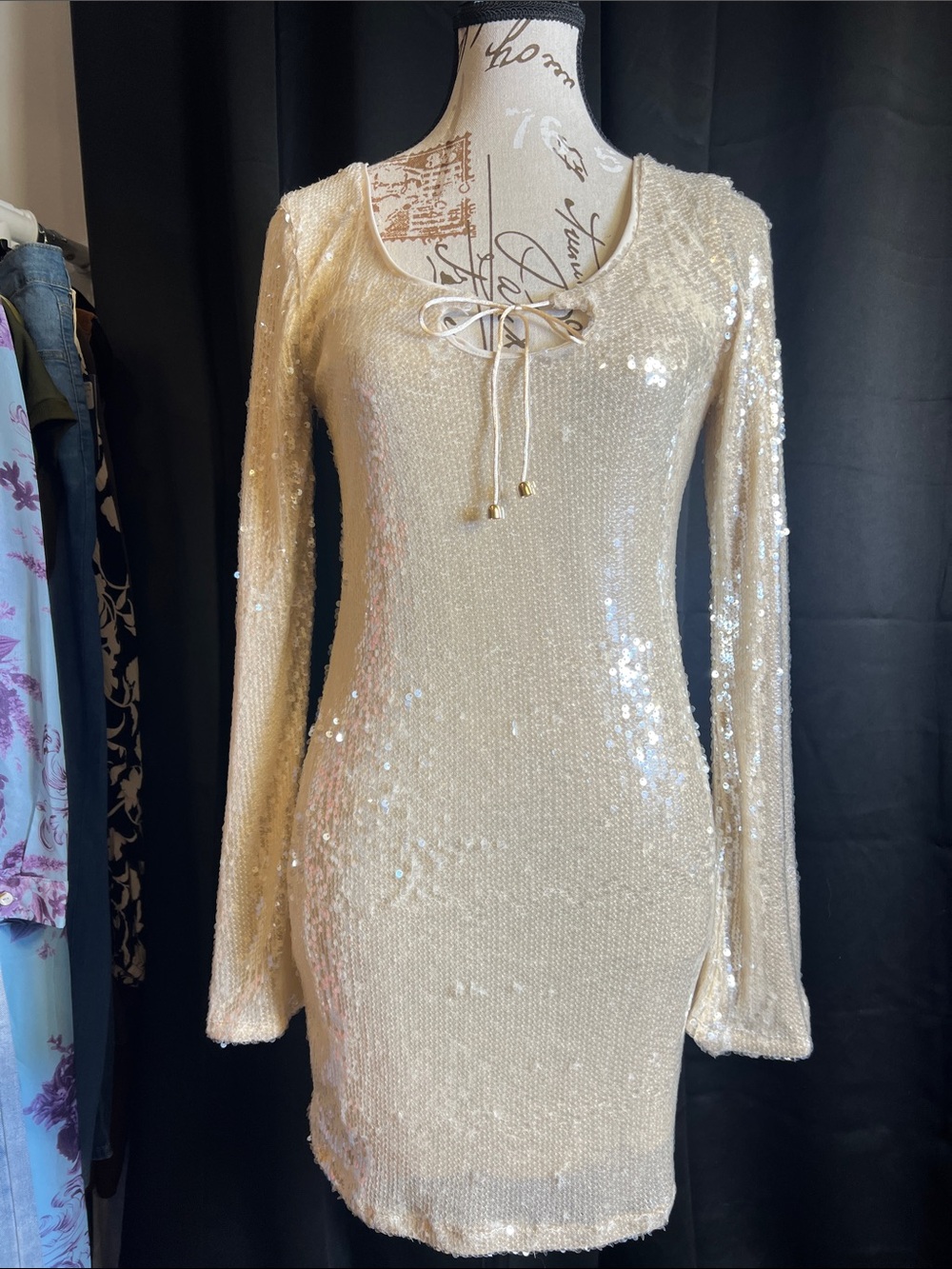 wild fable Cream Sequin Lace-Up Long Sleeve Mini Dress
